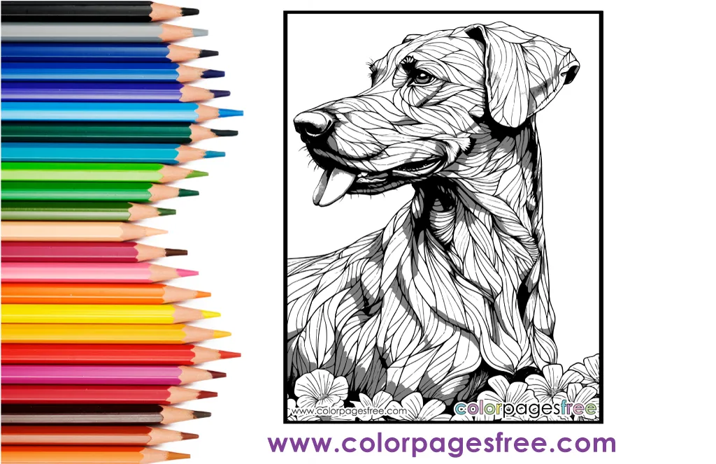 German Pointer Dog Coloring Page 194